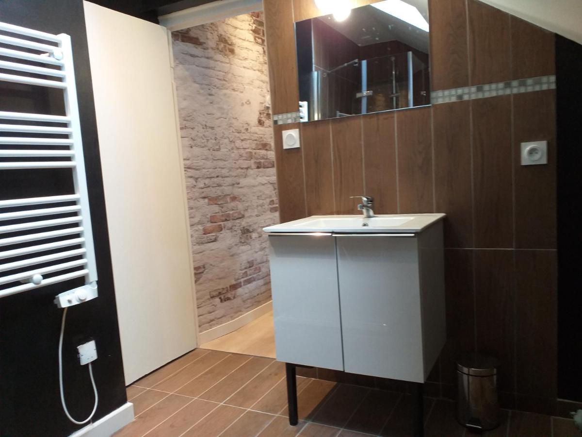 Les Volets Bleus - Deux Appartements Et Un Studio, Jardin Bourges Eksteriør bilde