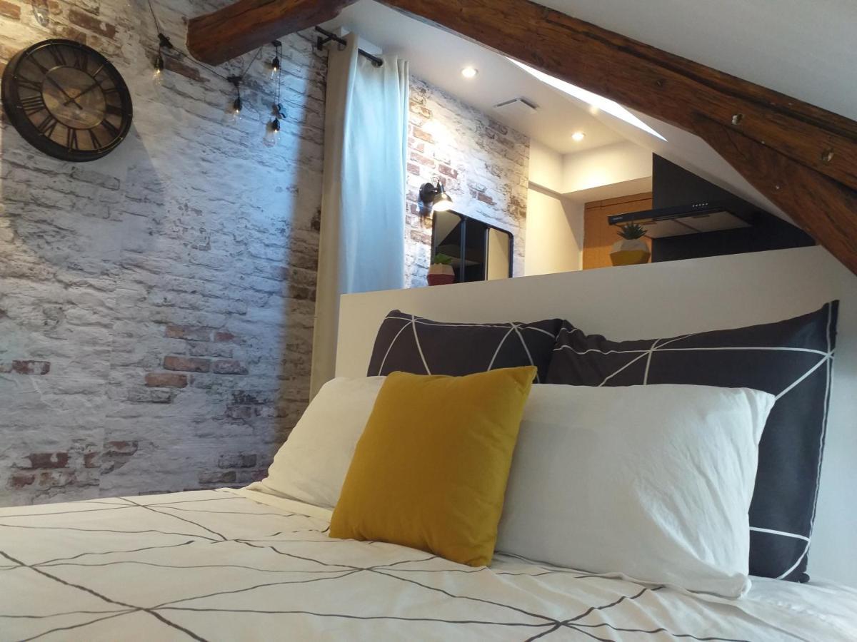 Les Volets Bleus - Deux Appartements Et Un Studio, Jardin Bourges Eksteriør bilde