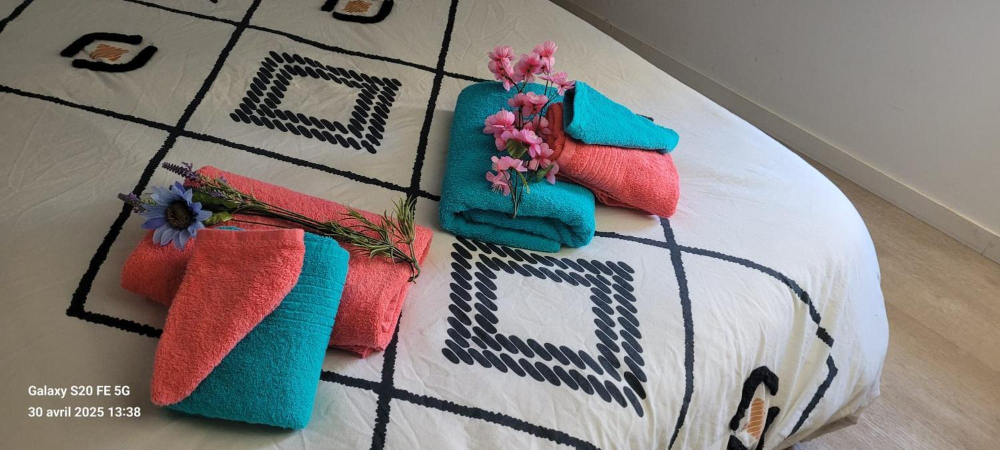 Les Volets Bleus - Deux Appartements Et Un Studio, Jardin Bourges Eksteriør bilde