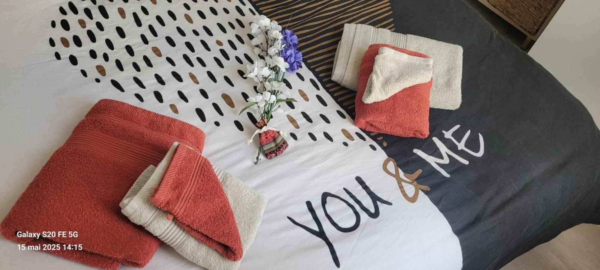 Les Volets Bleus - Deux Appartements Et Un Studio, Jardin Bourges Eksteriør bilde