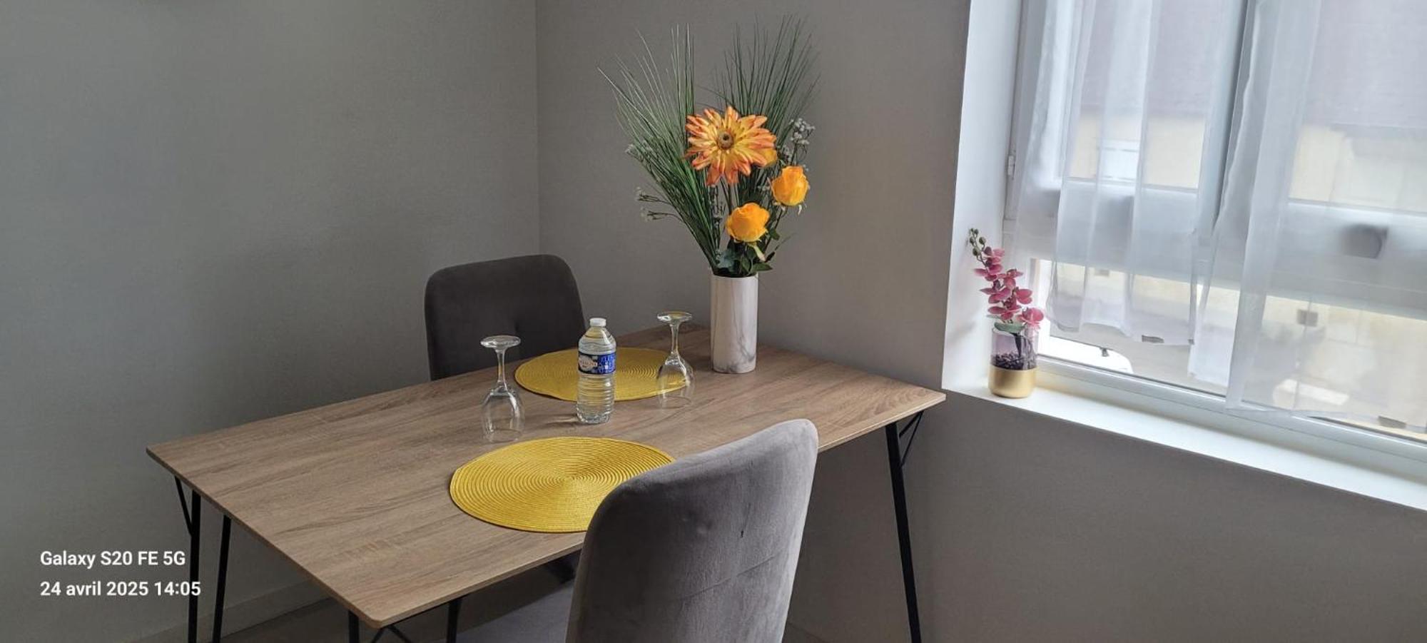 Les Volets Bleus - Deux Appartements Et Un Studio, Jardin Bourges Eksteriør bilde