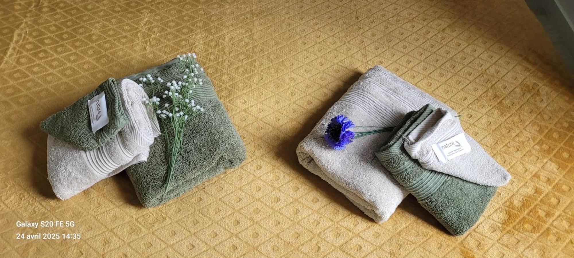 Les Volets Bleus - Deux Appartements Et Un Studio, Jardin Bourges Eksteriør bilde